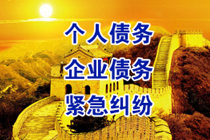 泸定清债公司