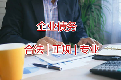 泸定追数公司